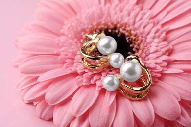 Photo of Elegant pearl earrings and gerbera flower on pink background, closeup