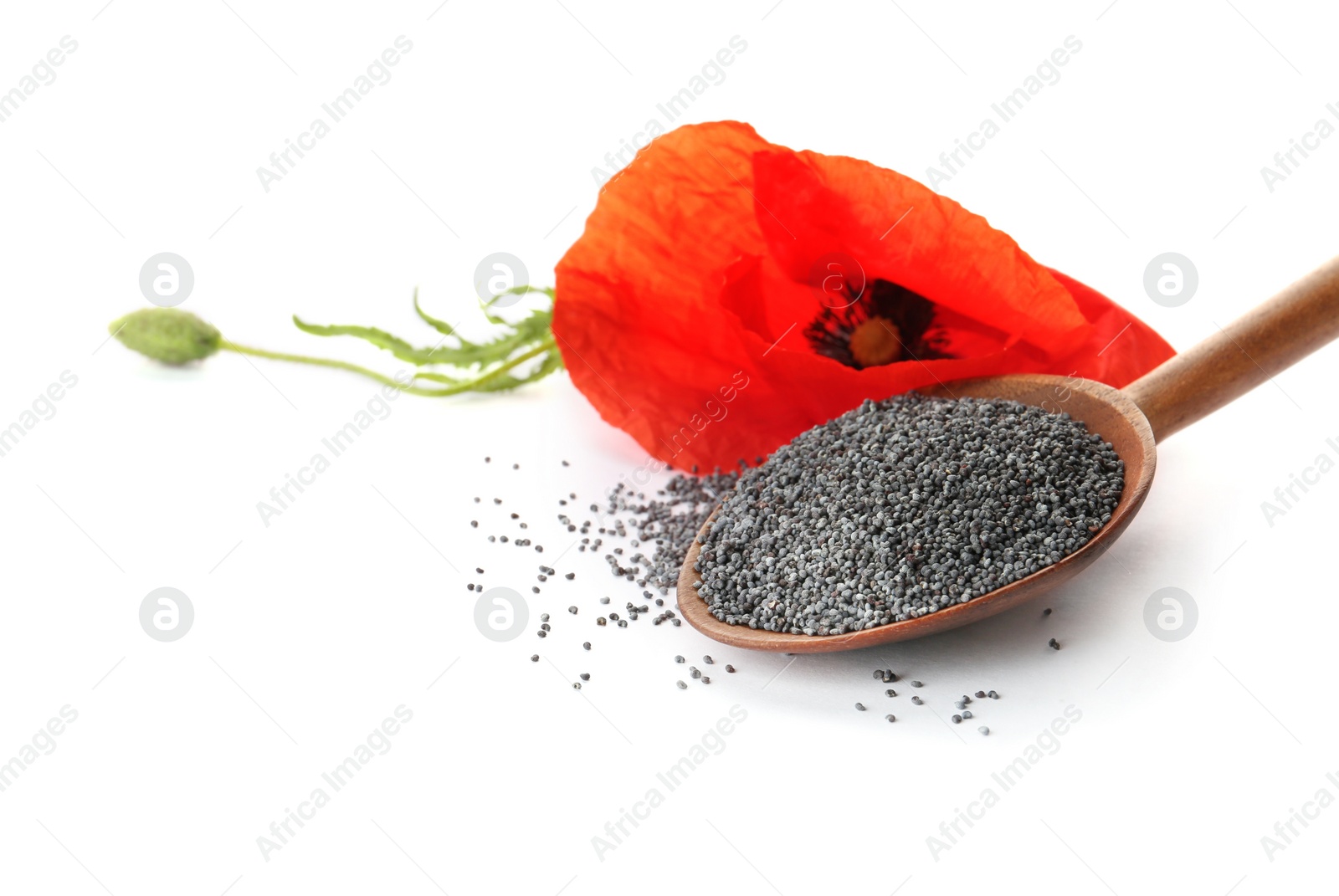 Photo of Composition with poppy seeds and flower on white background