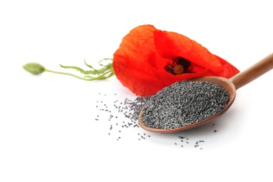 Composition with poppy seeds and flower on white background