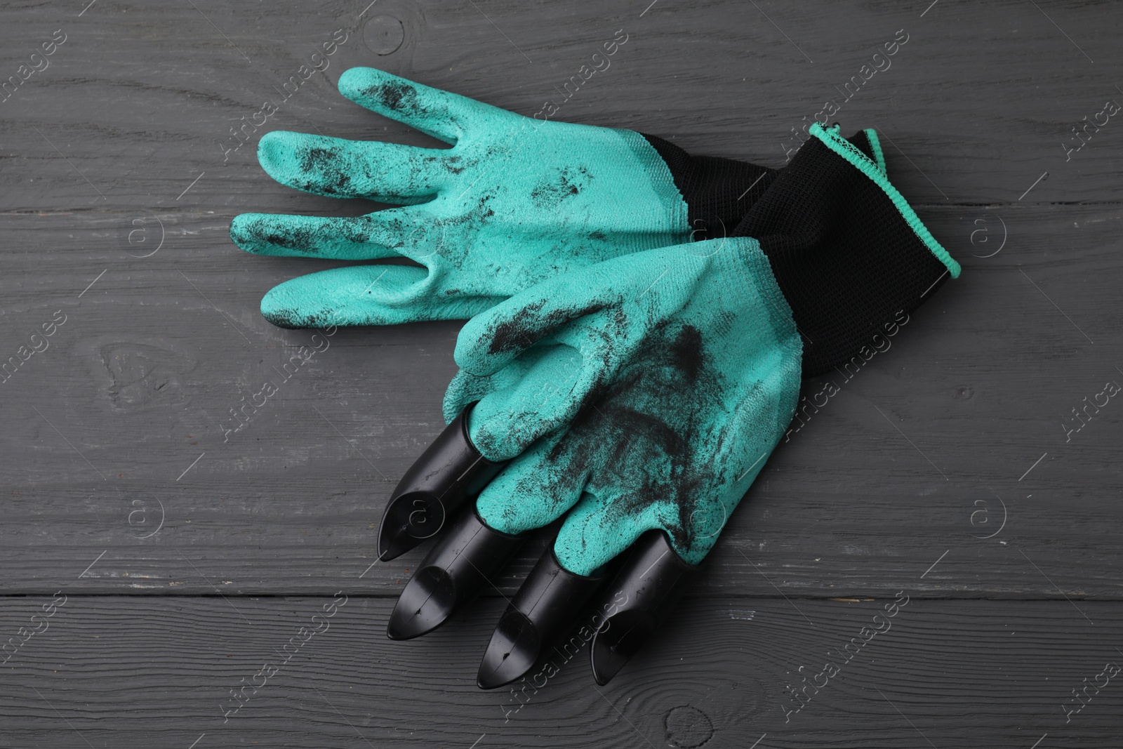 Photo of Pair of claw gardening gloves on grey wooden table, top view