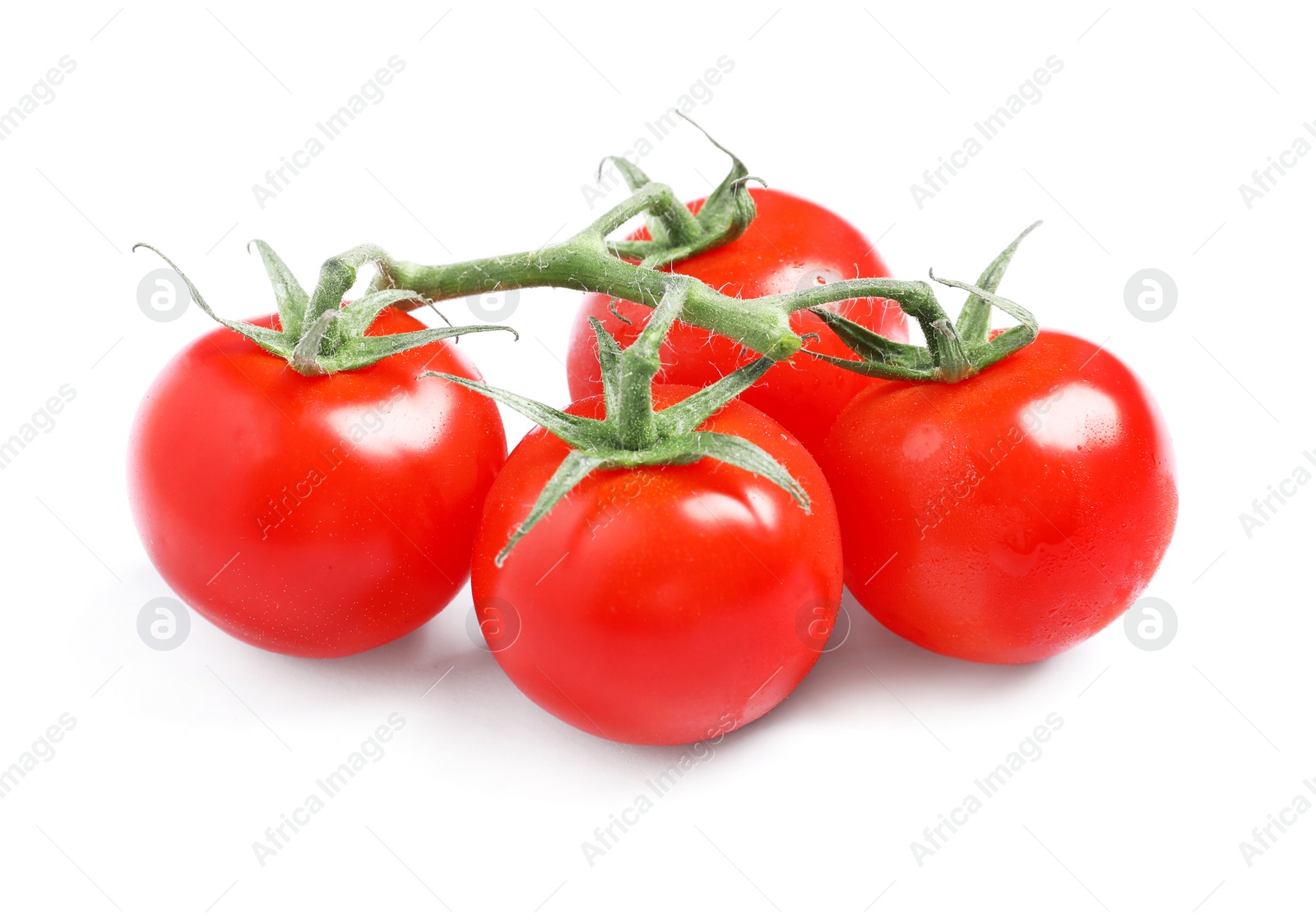 Photo of Branch of fresh cherry tomatoes isolated on white