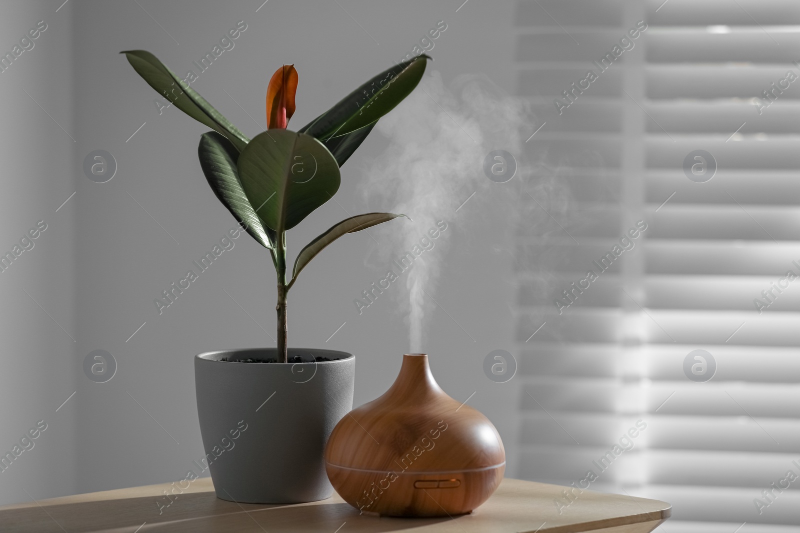 Photo of Air humidifier near beautiful houseplant on wooden table indoors. Space for text