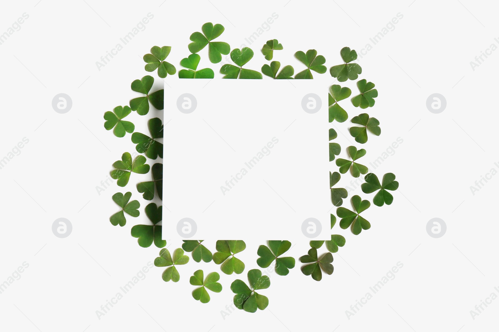 Photo of Green clover leaves and blank card on white background, flat lay