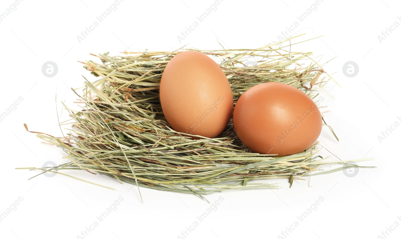 Photo of Chicken eggs in nest isolated on white