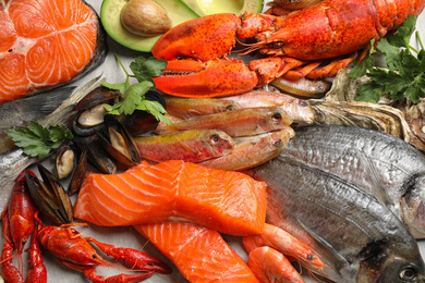 Photo of Fresh fish and different seafood on table