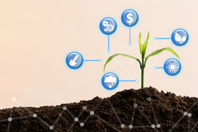 Image of Modern technology in agriculture. Green seedling and icons