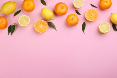 Photo of Flat lay composition with tangerines and different citrus fruits on pink background. Space for text