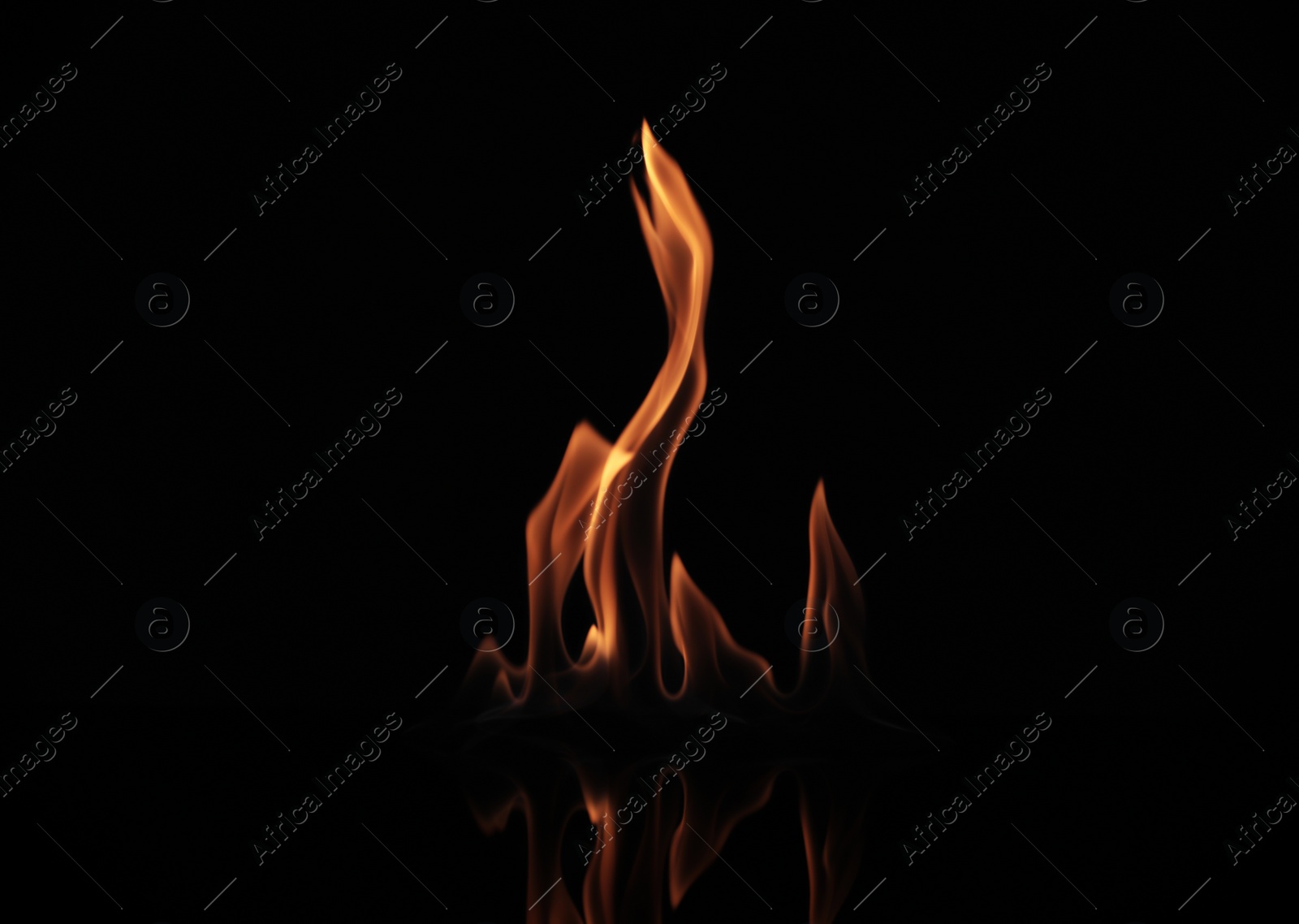 Photo of Beautiful bright fire flames on black background