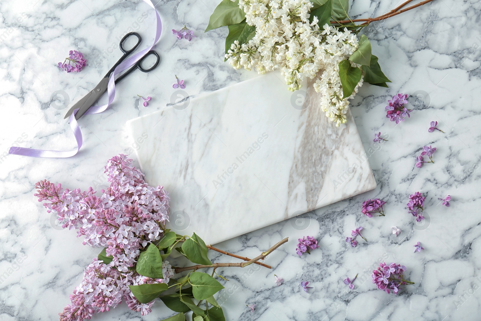 Photo of Flat lay composition with beautiful blossoming lilac on light background. Spring flowers