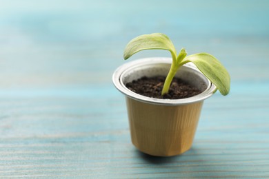 Photo of Coffee capsule with seedling on light blue wooden table, closeup. Space for text