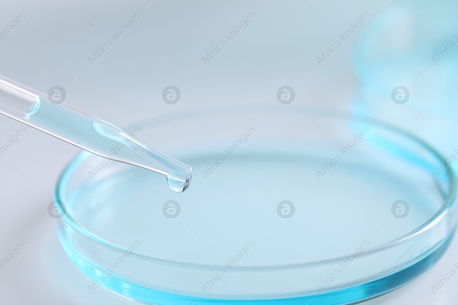 Photo of Dripping liquid from pipette into petri dish at white background, closeup. Laboratory analysis