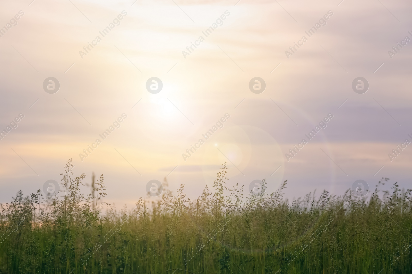 Photo of Picturesque view on green field under cloudy sky during sunset