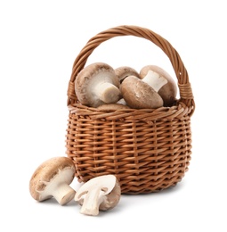 Wicker basket with fresh raw champignon mushrooms on white background