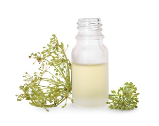 Bottle of essential oil and fresh dill isolated on white