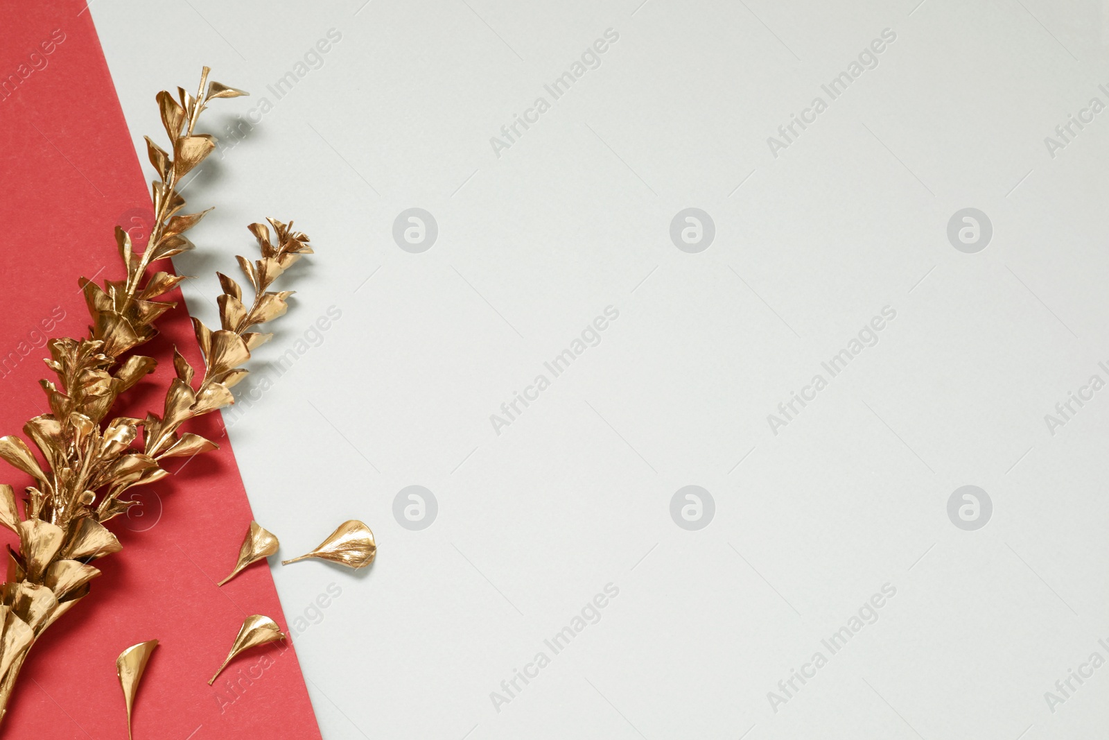 Photo of Golden dried flower on color background, flat lay. Space for text