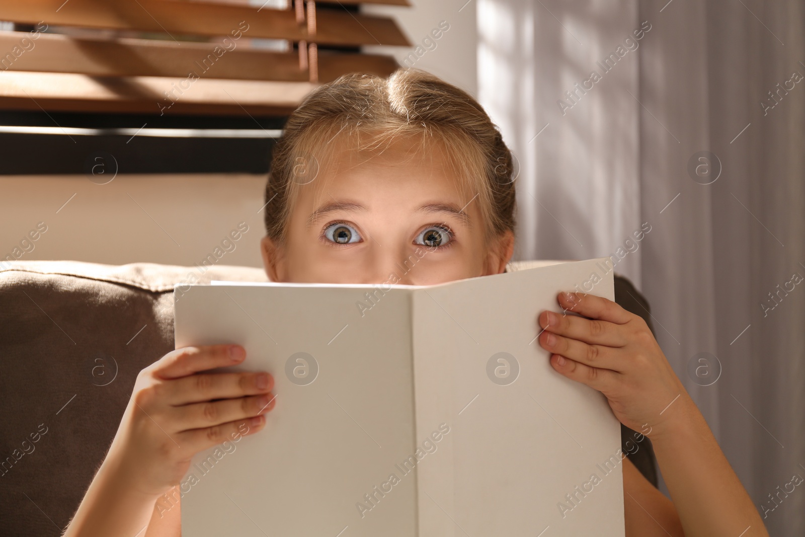 Photo of Little girl reading book in armchair at home