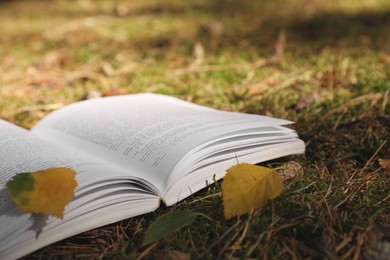 Photo of Open book and leaves on grass outdoors, closeup