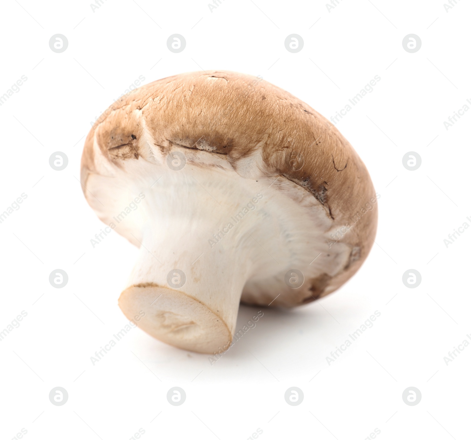 Photo of Fresh raw champignon mushroom on white background