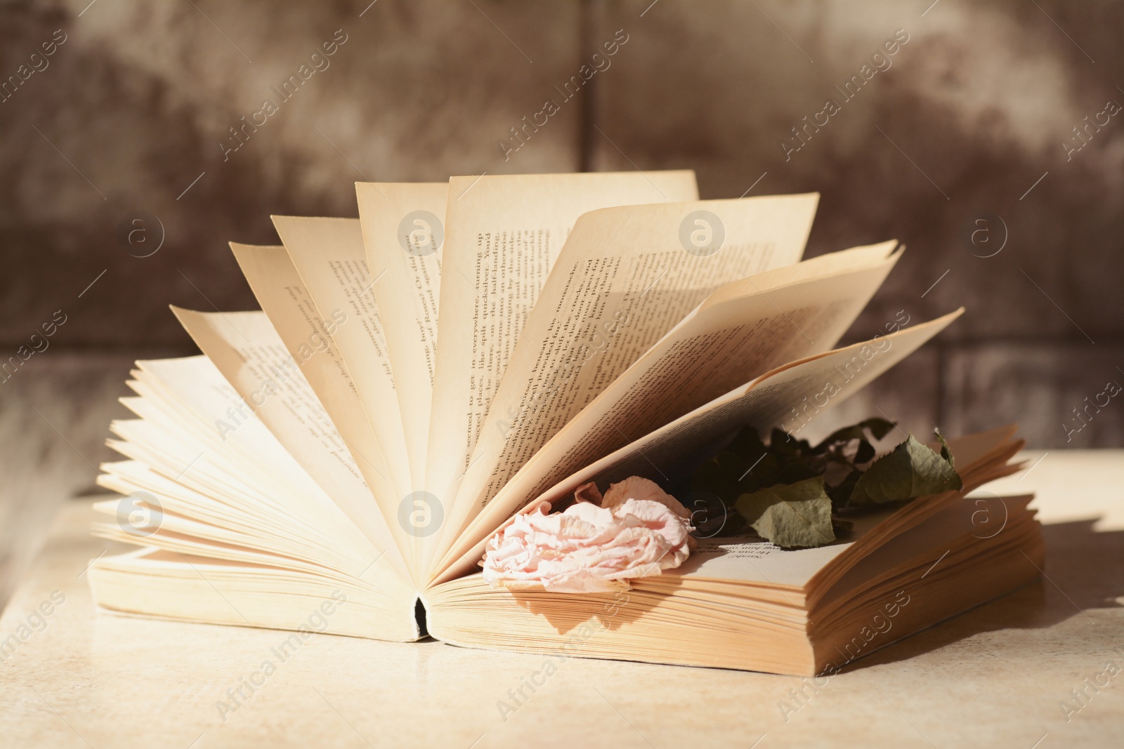 Photo of Book with beautiful dried flower on light table