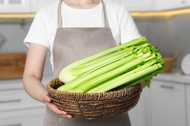 Photo of Woman holding wicker basket with fresh green celery in kitchen, closeup
