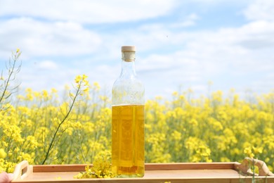 Photo of Rapeseed oil in bottle on tray in field, closeup