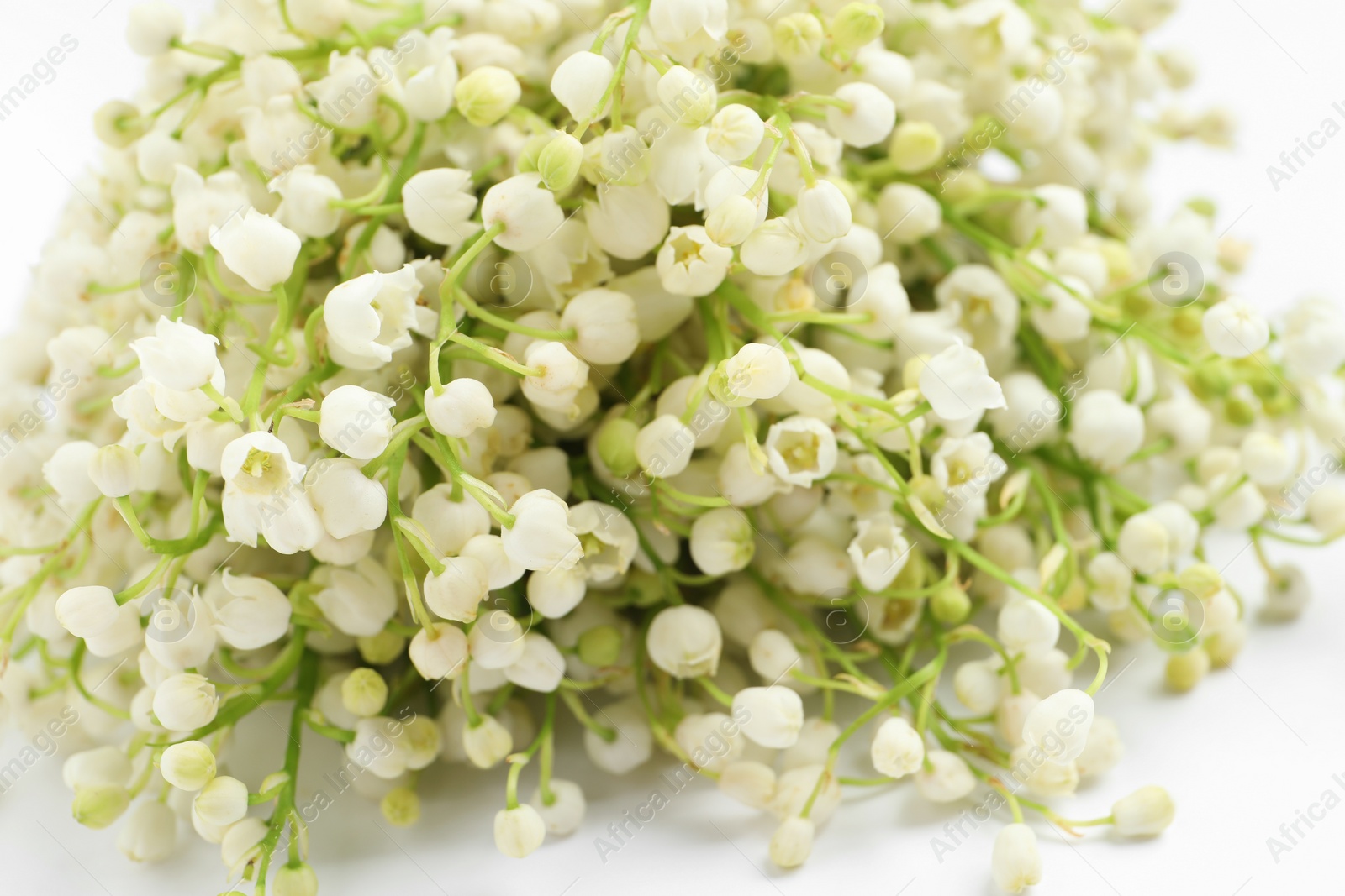 Photo of Beautiful lily of the valley bouquet on white background, closeup