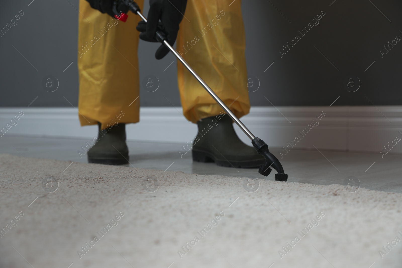 Photo of Pest control worker in protective suit spraying insecticide on floor indoors, closeup