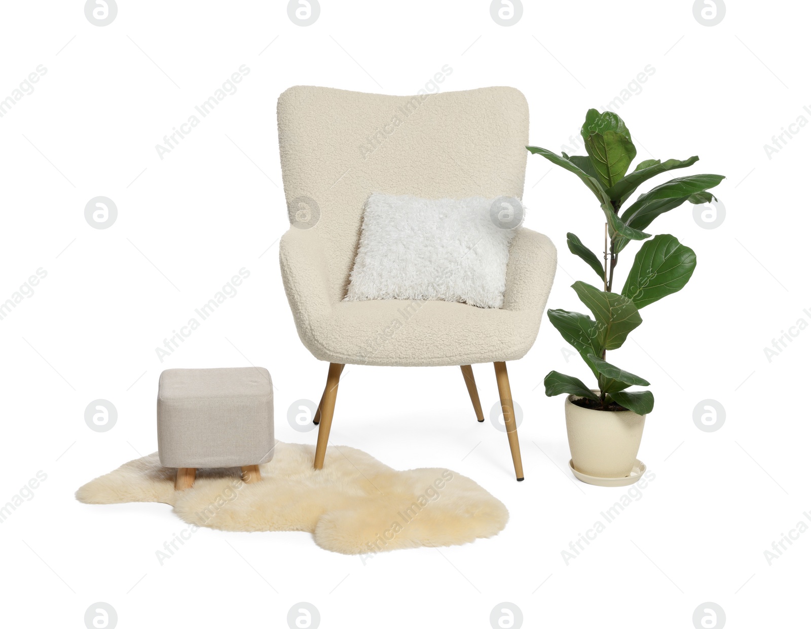 Photo of Stylish comfortable armchair with pillow, houseplant, ottoman and fluffy rug isolated on white