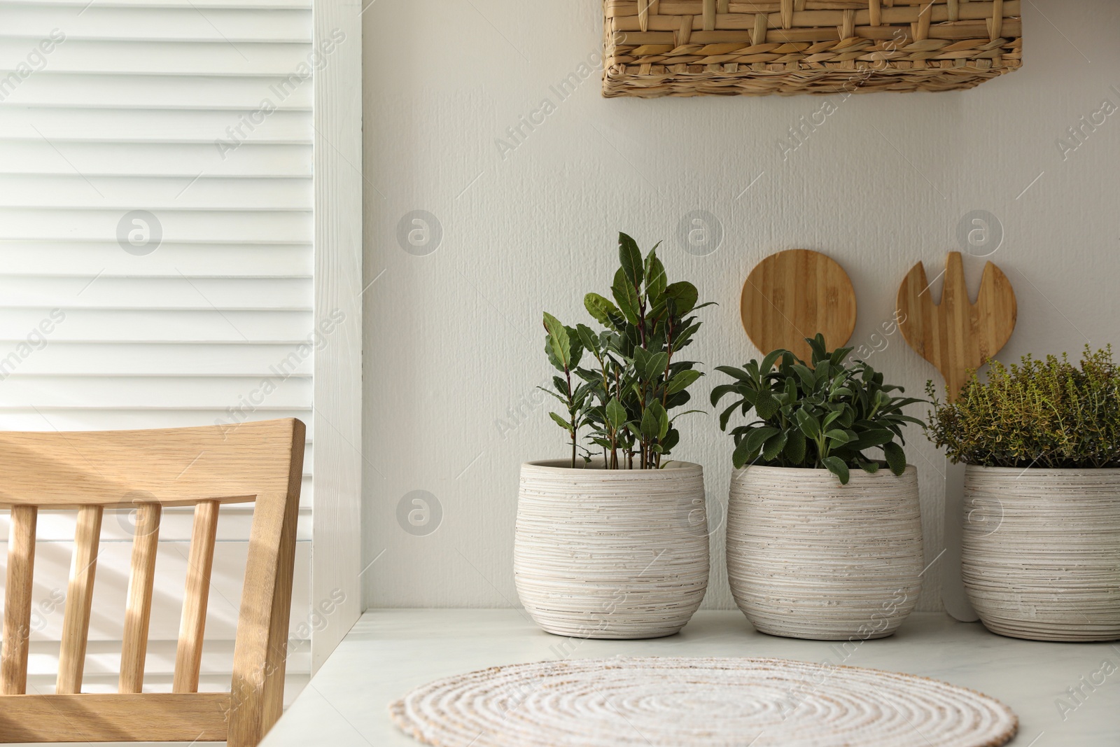 Photo of Different aromatic potted herbs on countertop in kitchen