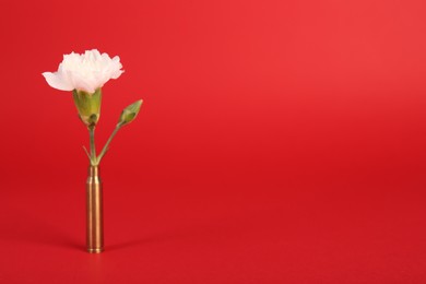 Photo of Bullet cartridge case and beautiful carnation flower on red background, space for text