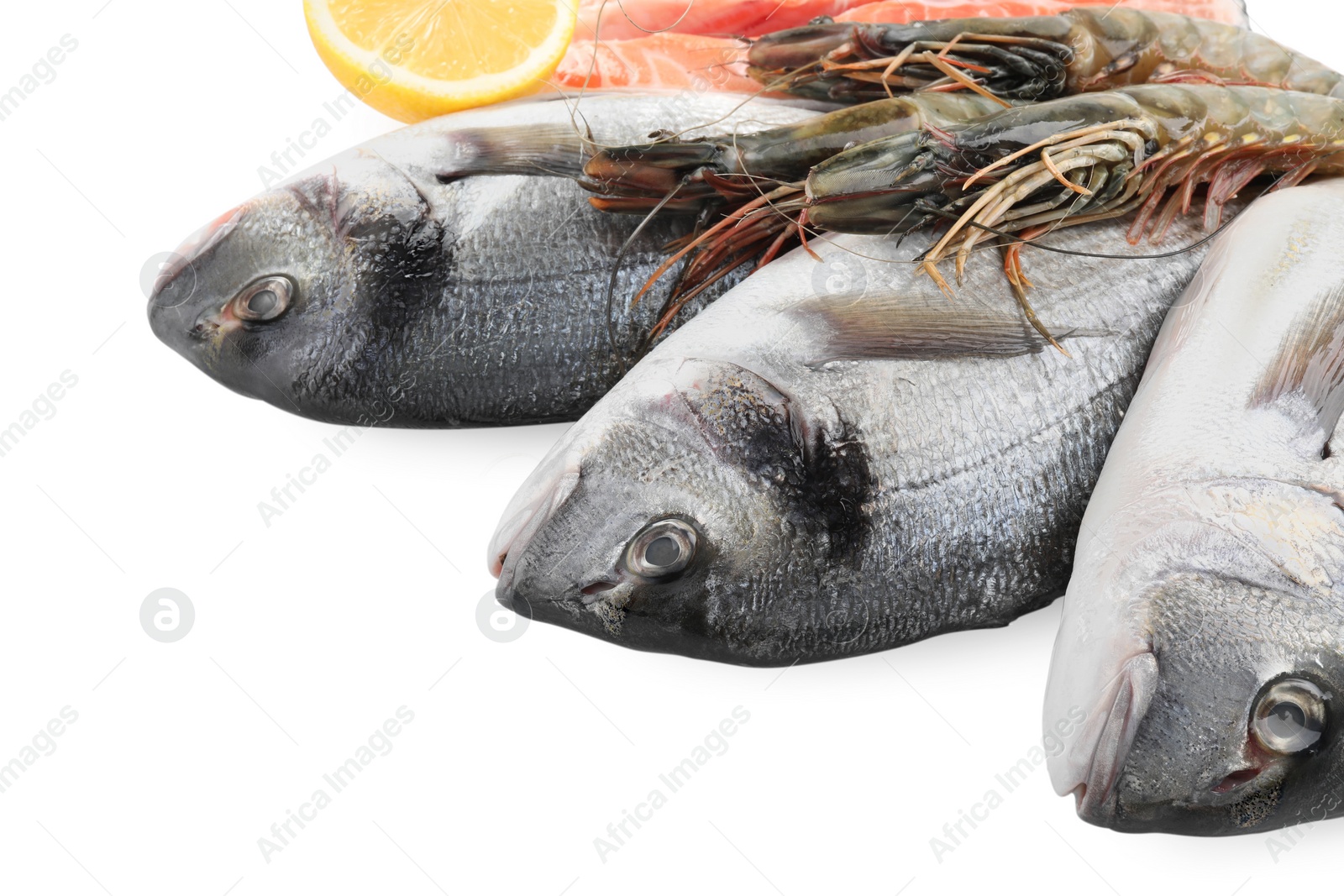 Photo of Fresh dorado fish and shrimps on white background, closeup