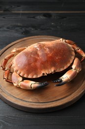 Delicious boiled crab on black wooden table