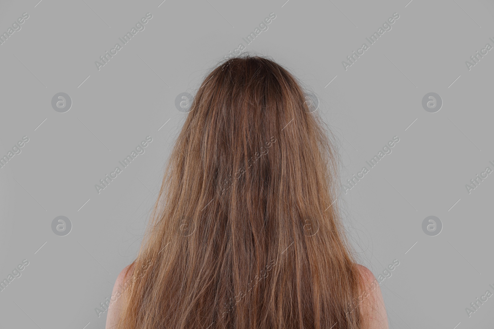 Photo of Woman with damaged hair on light grey background, back view