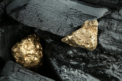 Photo of Shiny gold nuggets on coal, top view