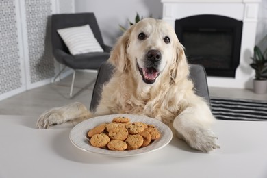 Photo of Cute retriever sitting at table near plate of cookies indoors