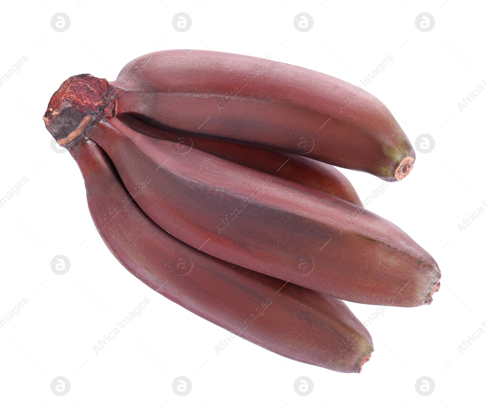 Photo of Delicious red baby bananas on white background