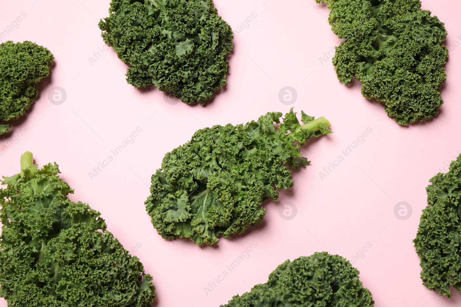 Photo of Fresh kale leaves on pink background, flat lay