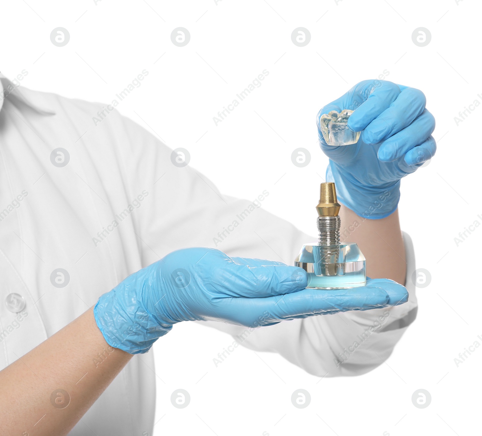 Photo of Dentist holding educational model of dental implant on white background, closeup