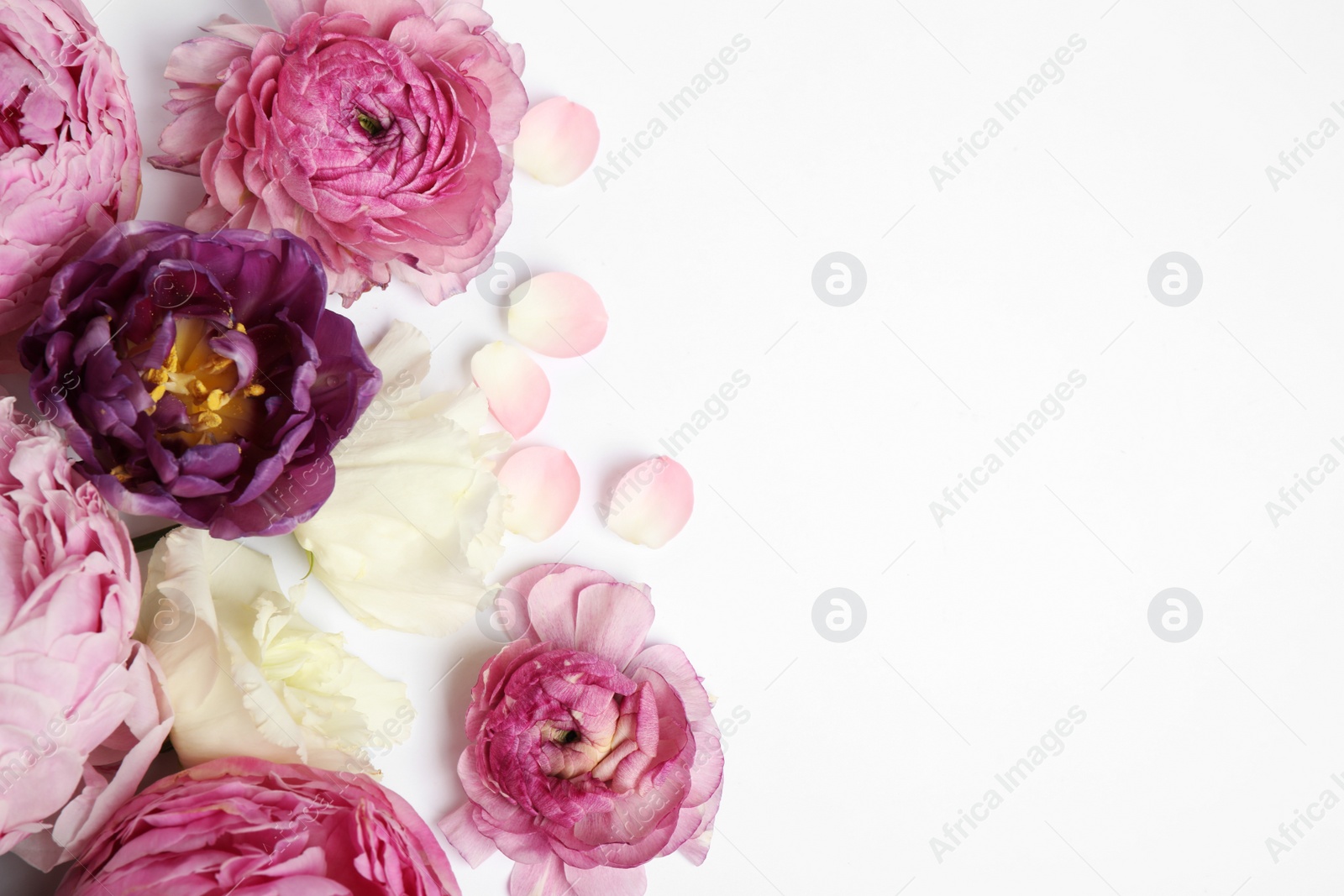 Photo of Composition with beautiful flowers on white background, top view. Floral card design