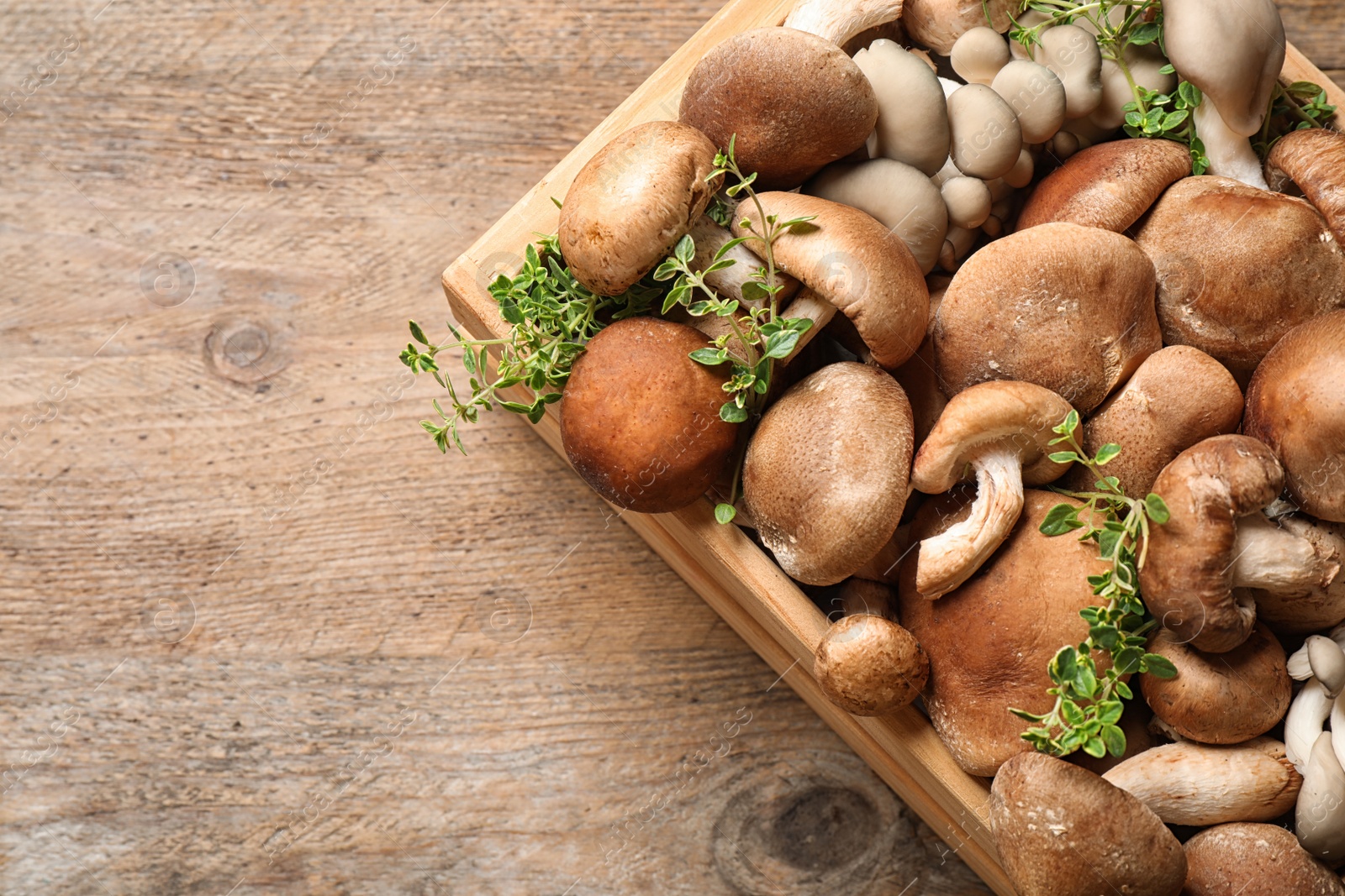Photo of Crate full of different wild mushrooms on wooden background, top view