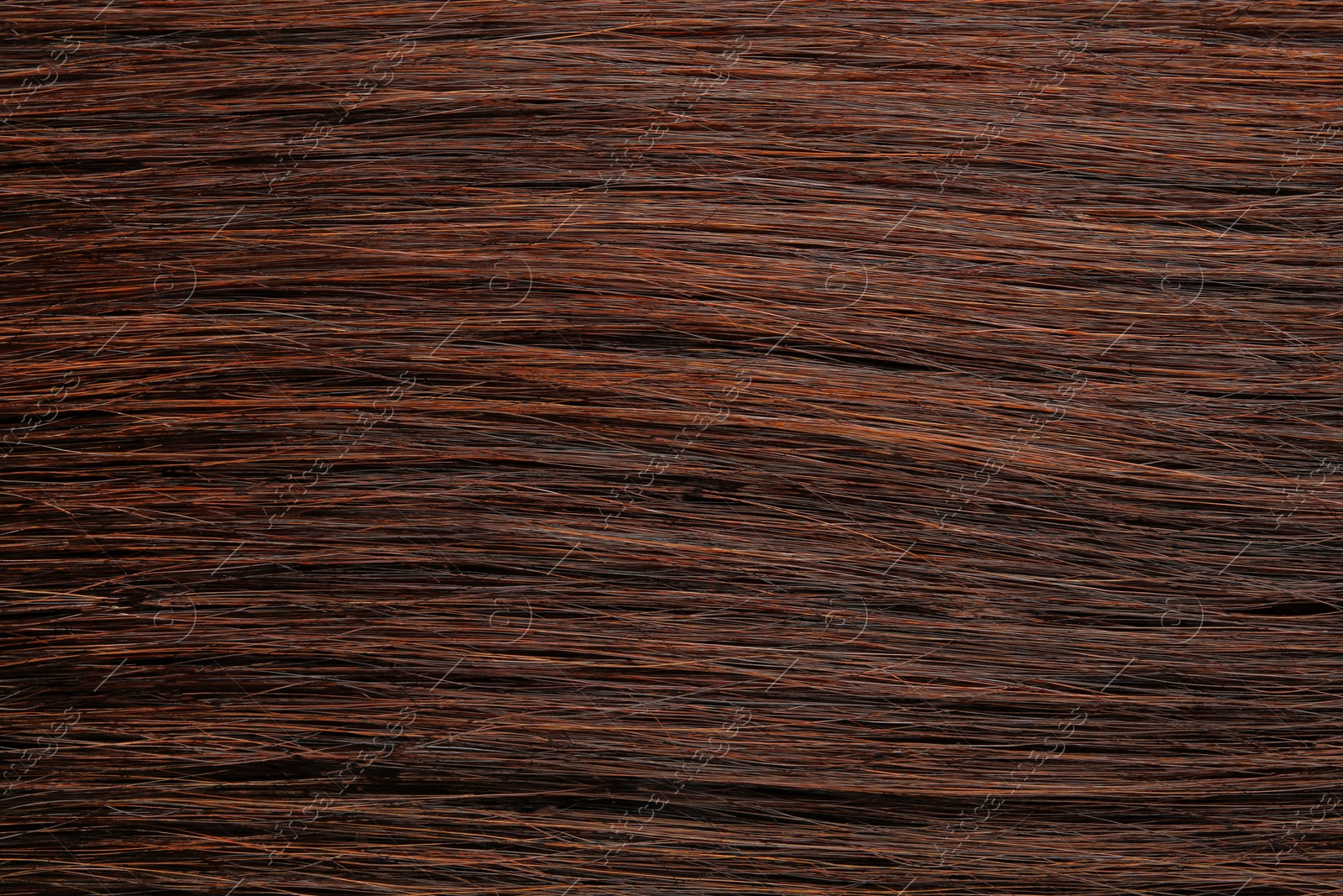 Photo of Texture of healthy brown hair as background, closeup