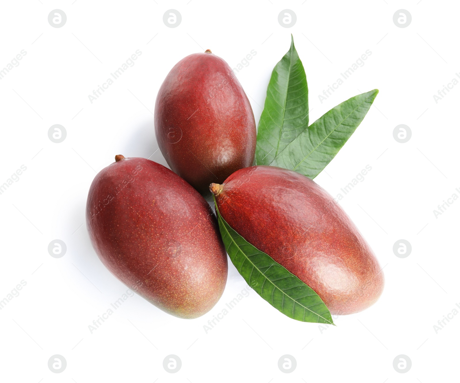 Photo of Delicious ripe mangoes on white background, top view