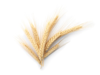 Photo of Spikelets on white background. Healthy grains and cereals