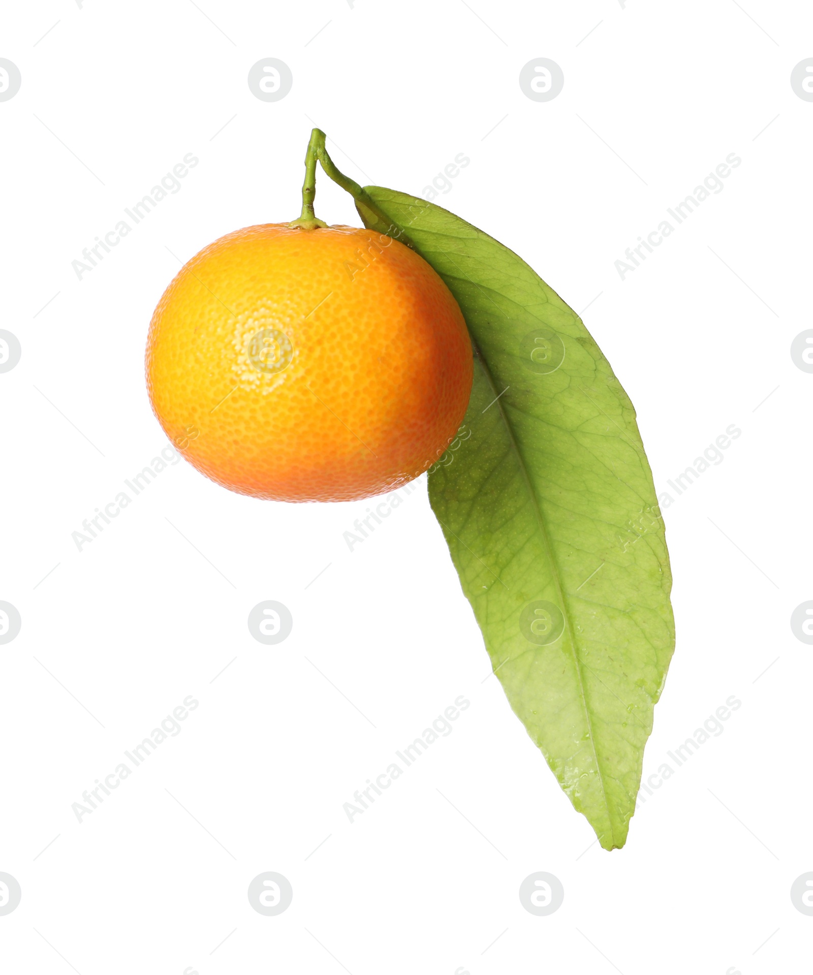 Photo of One fresh tangerine with green leaf isolated on white