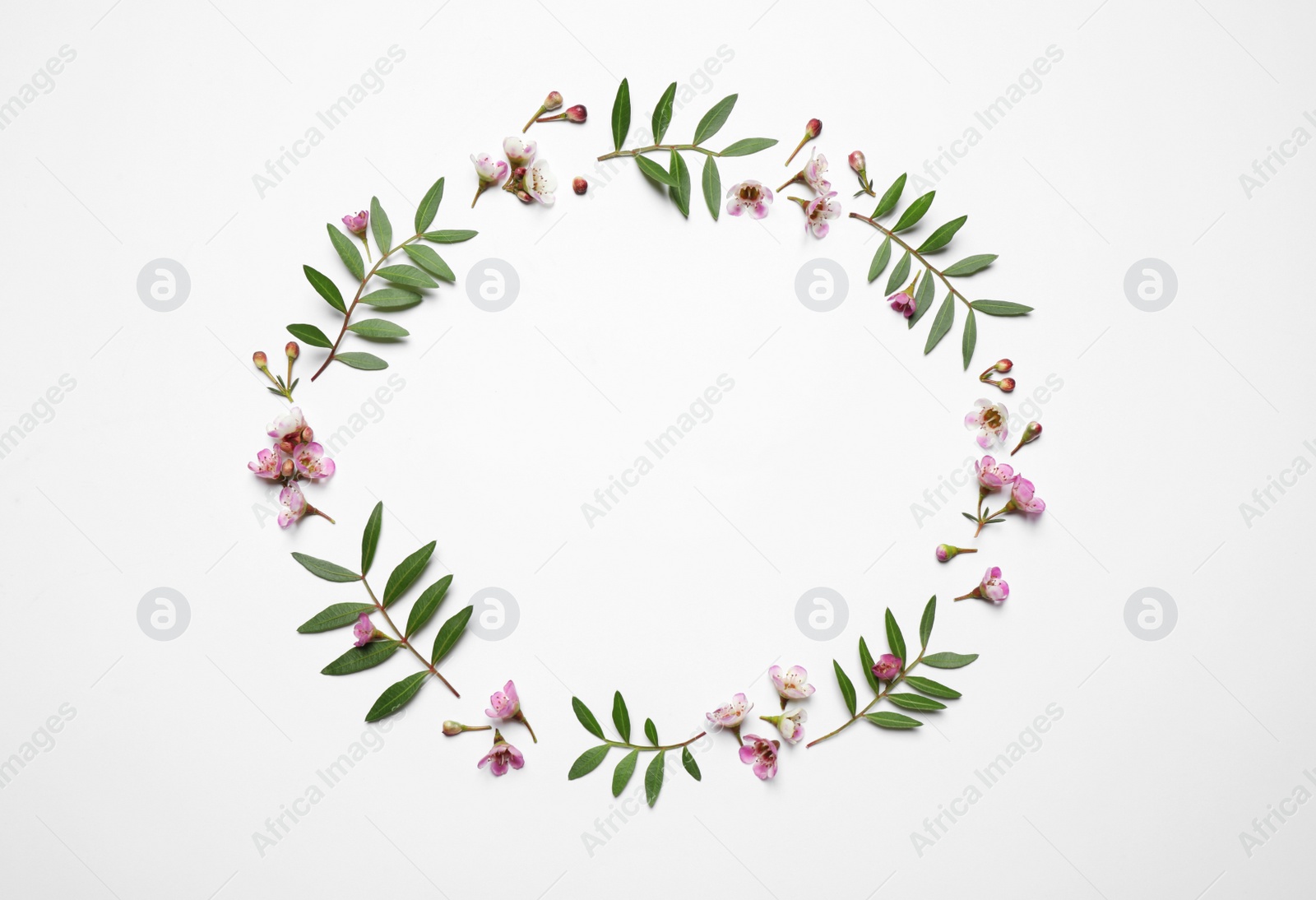 Photo of Frame made of beautiful flowers on white background, top view with space for text. Floral card design