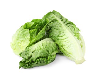 Photo of Fresh green romaine lettuces isolated on white