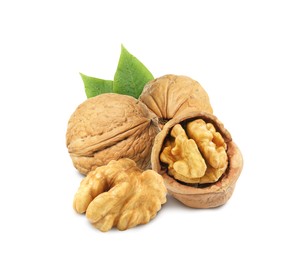 Tasty walnuts and green leaves on white background