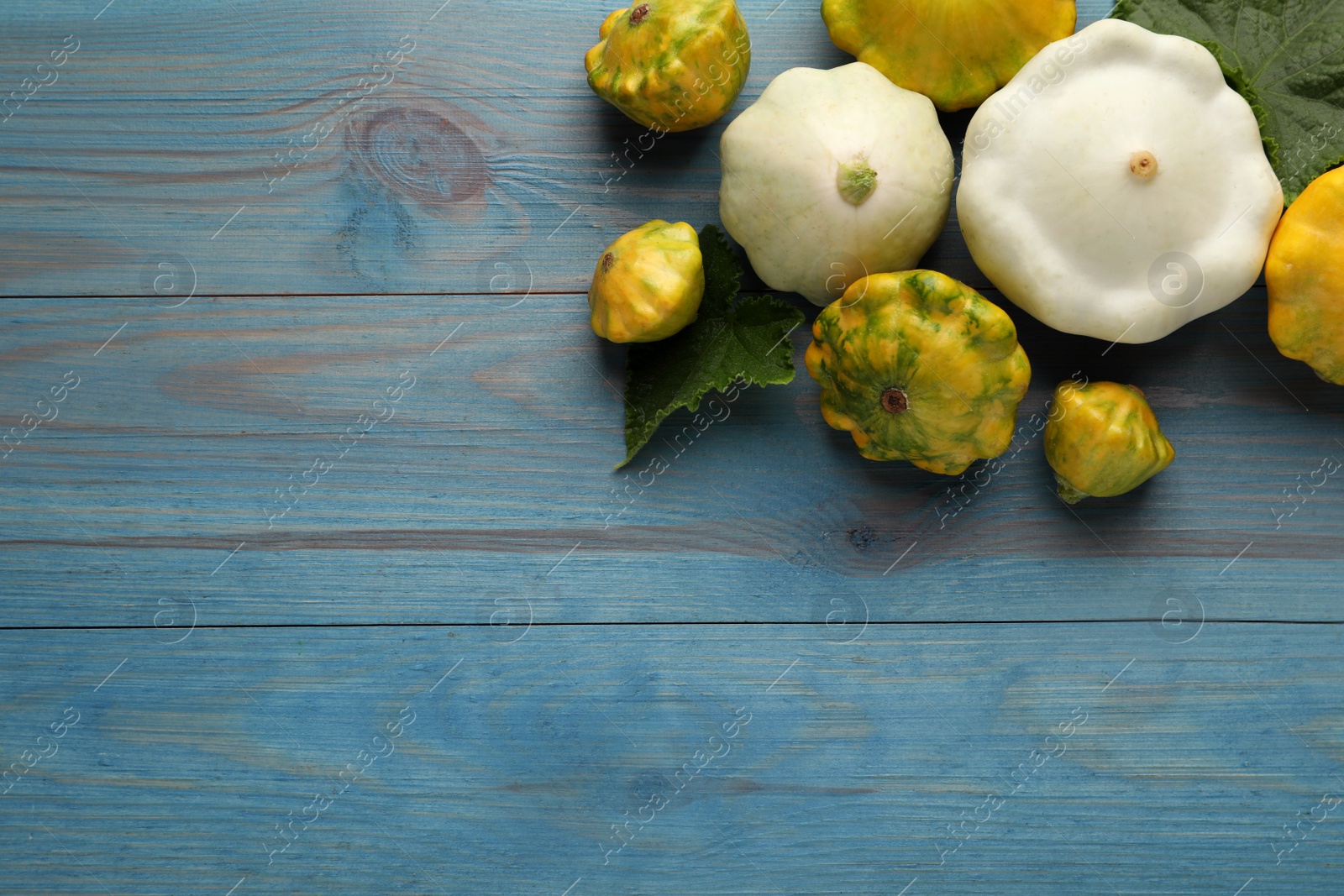 Photo of Fresh ripe pattypan squashes with leaves on light blue wooden table, flat lay. Space for text