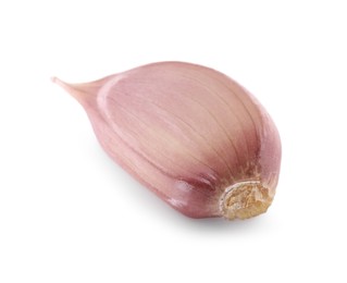 One unpeeled clove of fresh garlic isolated on white