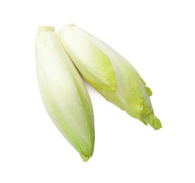 Photo of Raw ripe chicories on white background, top view